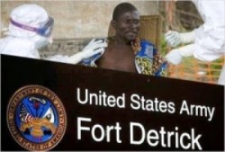 Ebola finanza ed esercito