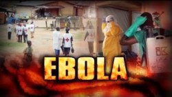 Allarme ebola in Europa 1.1