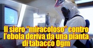 Vaccino Ebola pianta di tabacco