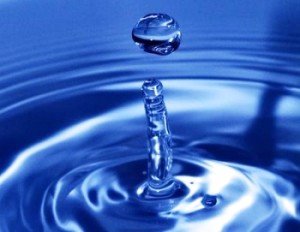 Bere acqua