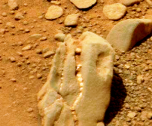 Cranio dinosauro su Marte