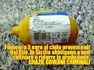 Limoni italiani