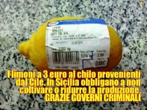 Limoni italiani