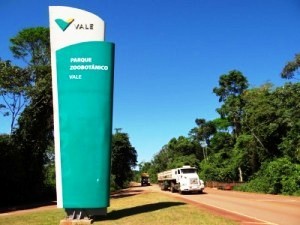 Multinazionali - Vale