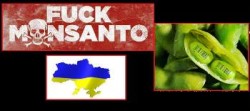 Ucraina e Monsanto