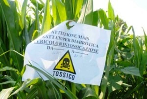 Monsanto