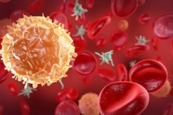 Scienziati convertono cellule tumorali