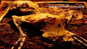 Misteri di William Petrie