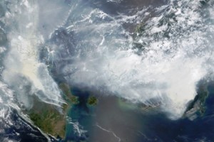 deforestazioni Indonesia