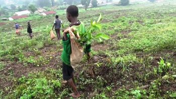 bambini al lavoro in Uganda