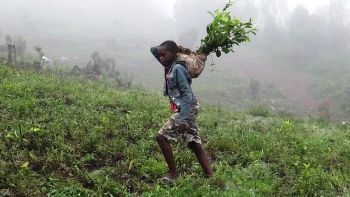 bambini al lavoro in Uganda