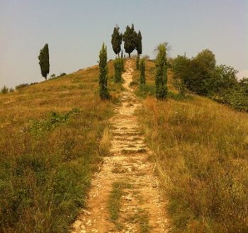 Piramidi di Montevecchia - collina dei cipressi