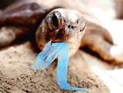 Isola di plastica nel mediterraneo
