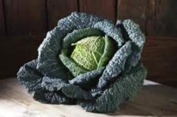 Cavolo nero