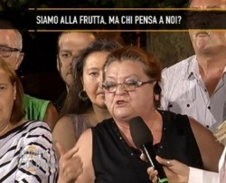 società