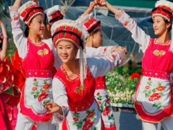 Cina bai