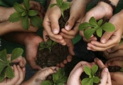 Horticulture