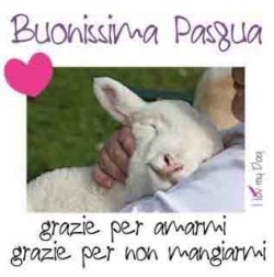 Pasqua consapevole senza agnello