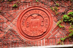 Bohemian Grove