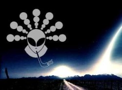 Crop circle messaggio pace madre terra