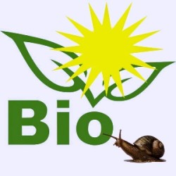 Bio