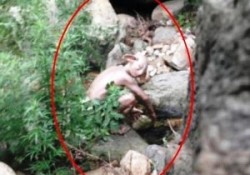 Cina misteriosa creatura distretto Huairou