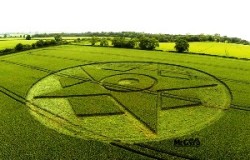 Crop circle Harewell lane