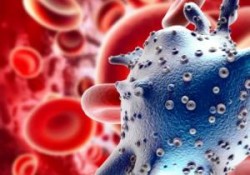 Nano particelle nel cibo