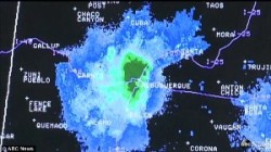 Sciame insetti sul radar