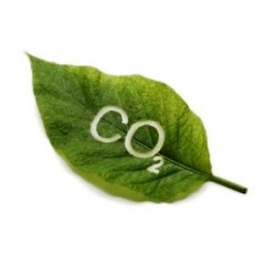 CO2