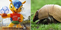 Fifa e mascotte mondiali