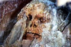 Uomo delle caverne 1.1