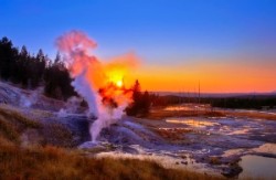 Parco di Yellowstone