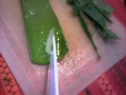 Aloe