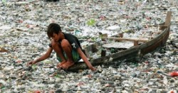 Fungo che mangia la plastica