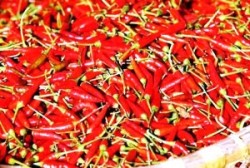 Cibi piu contaminati