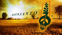 Monsanto