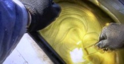 Olio di oliva