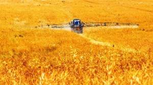 avvelenati dai pesticidi