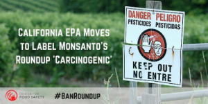 California bandisce il Roundup della Monssanto