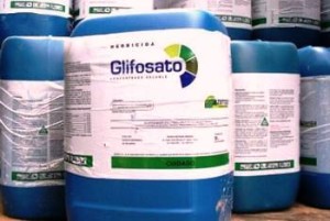 diserbante glifosato