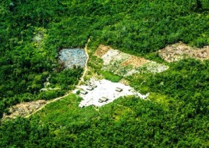 Brasile foresta Amazzonia