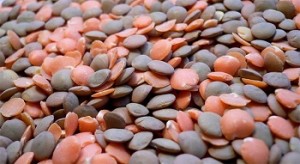 Oli minerali negli alimenti
