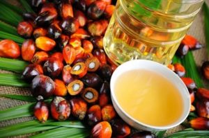 Olio di palma